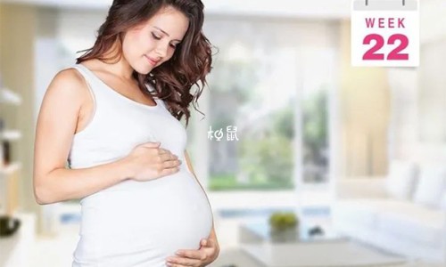 心脏前降支近段是主动脉吗-心脏前降支和后降支区别网心脏前降支狭窄严重吗知识网站,分享心脏前降支近段狭窄70%严重吗大全